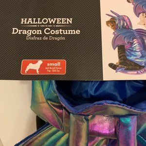 Iridescent Dragon Halloween Costume